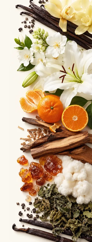 Ноты аромата Ванильное небо
